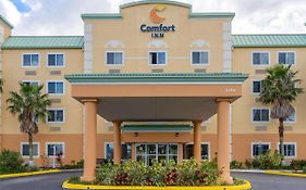 Comfort Inn Kissimmee-Lake Buena Vista South